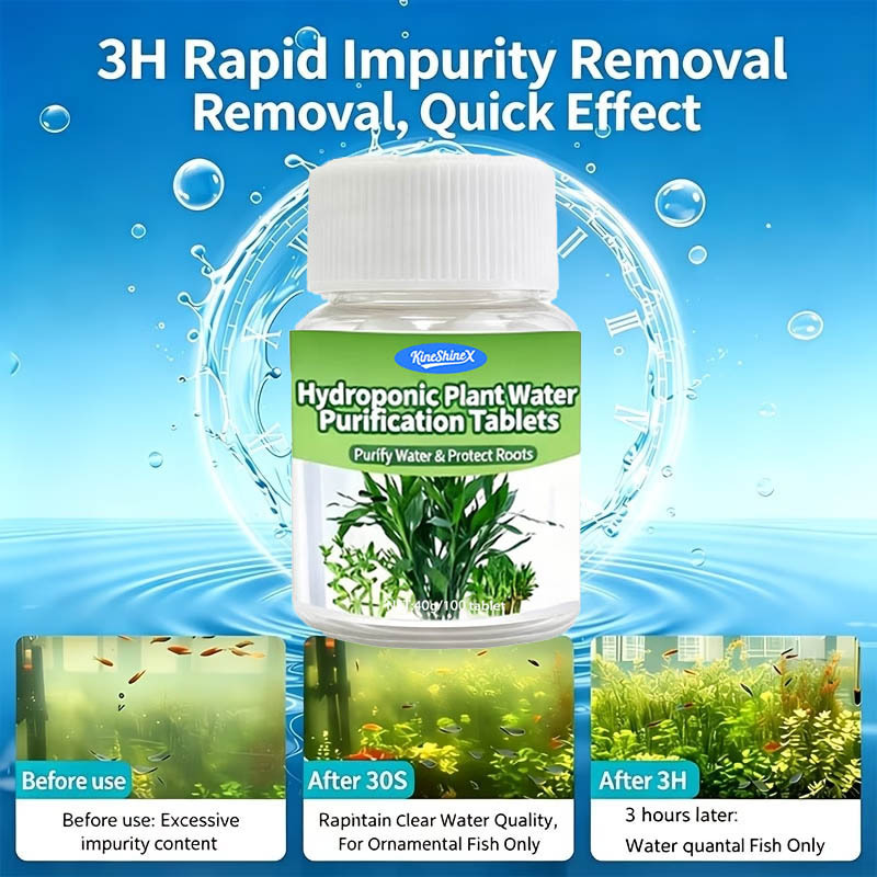 แท็บเล็ตกรองน้ำแบบไฮโดรโปนิกส์ - Water Purification Tablet บทวิจารณ์และราคา