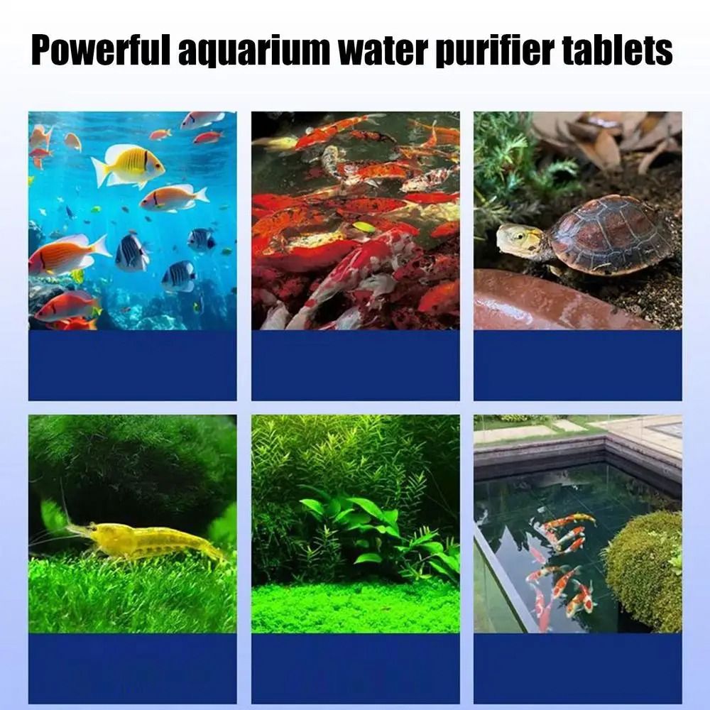 เม็ดยาทำความสะอาดน้ำที่มีประสิ - Water Purification Tablet บทวิจารณ์และราคา
